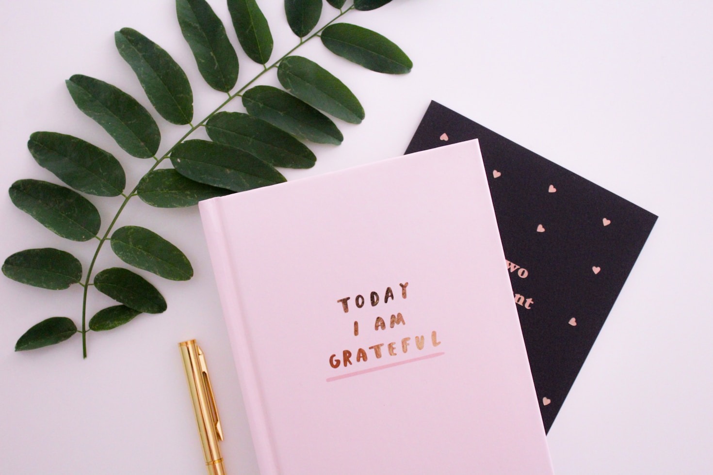 Unlocking Creativity Through Simple Daily Habits